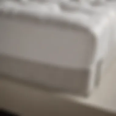 Durable Materials in Twin Bed Box Springs Various materials used in twin bed box springs emphasizing durability.