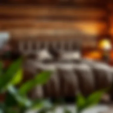 Cozy and Rustic Bedroom with Brown Comforter Cozy bedroom featuring a brown comforter in a rustic setting