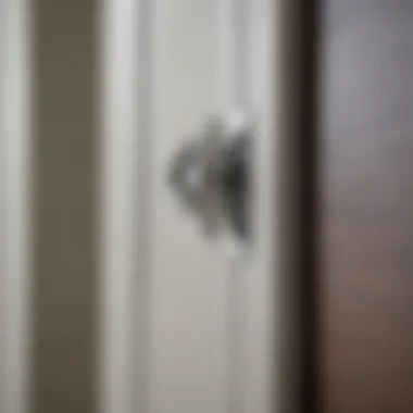 Craftsmanship of Chrome Cabinet Door Pulls Close-up of chrome cabinet door pulls showcasing craftsmanship and design