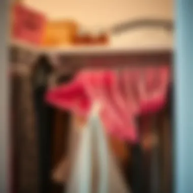 Organized closet with pink hangers enhancing aesthetic appeal