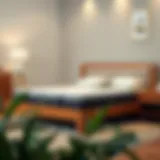 Elegant wooden bed frame with box spring