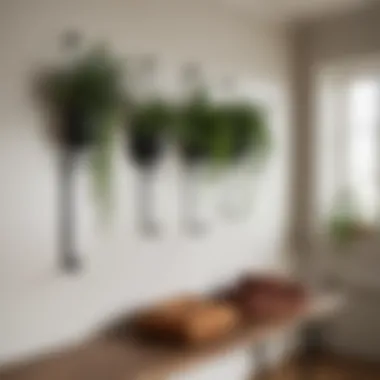 Cozy Home with Black Metal Plant Hooks A cozy home setting featuring black metal plant hooks.