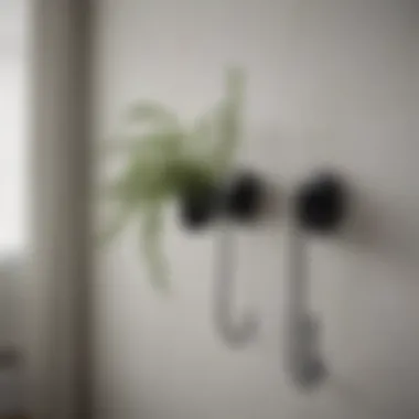Black Metal Plant Hooks in Modern Decor Elegant black metal plant hooks enhancing a modern interior.
