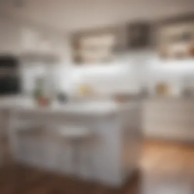 Energy-Efficient LED Solutions in the Kitchen Energy-efficient LED lighting solutions for kitchen spaces