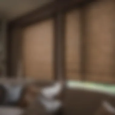 Diverse Options of Blackout Blinds for RVs Various types of blackout blinds for RVs