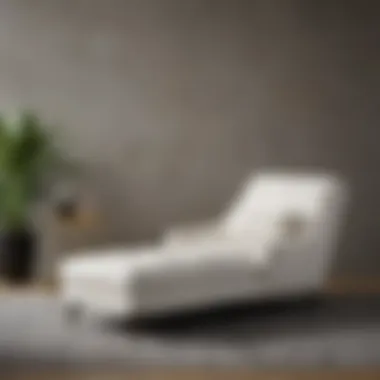 Single Arm Chaise Lounge in Contemporary Decor Elegant single arm chaise lounge paired with contemporary decor