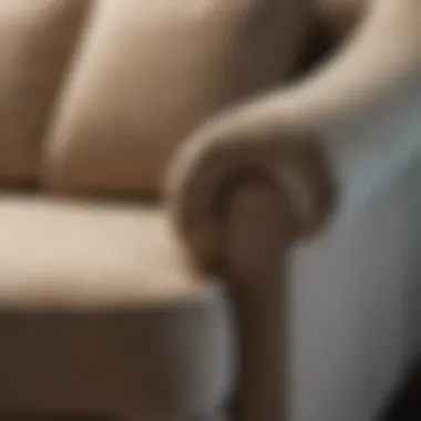 Upholstery Details of Single Arm Chaise Lounge Close-up of single arm chaise lounge upholstery showcasing texture and color
