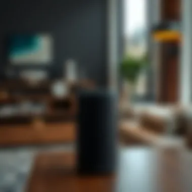 Aesthetic integration of Sonos speakers in modern interior design