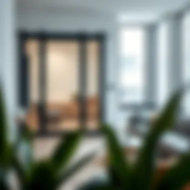 Sliding door installation in a contemporary living space