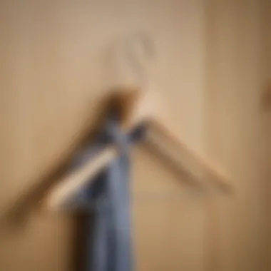 Natural Wood Texture of Hanger Natural wood texture of a hanger against a soft background