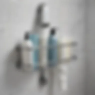 Functional Organization in a Shower Caddy Organized toiletries arranged in a functional shower caddy
