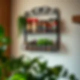 Elegant wall-mounted kitchen rack showcasing various herbs and spices