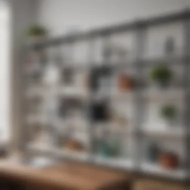 Efficient Organization in a Professional Environment Functional shelving unit in an office setting