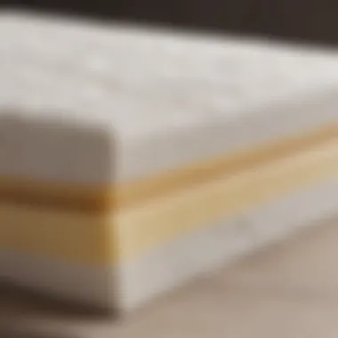 Understanding Firmness Levels in Memory Foam A visual representation of firmness levels from soft to firm memory foam