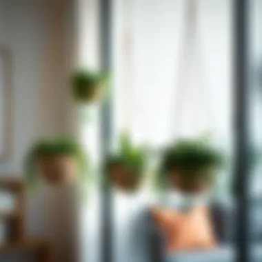 Innovative Decor Ideas with Hanging Planters Innovative decor ideas using hanging planters in interior design