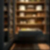 Elegant roll-out drawer showcasing organized pantry items