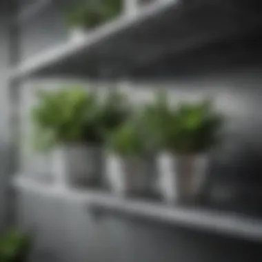 Durable Metal Material for Plant Shelves Close-up of high-quality metal material used in plant shelves