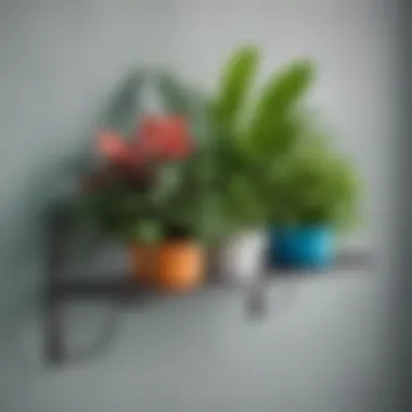 Vibrant Greenery on a Metal Shelf Stylish outdoor metal plant shelf showcasing vibrant plants