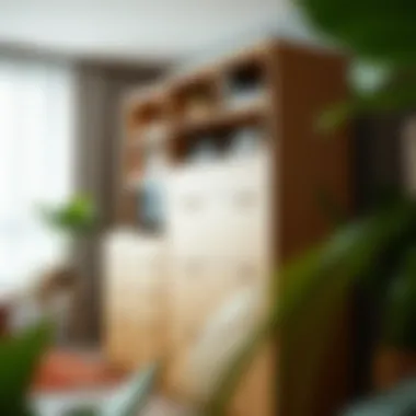 Unique Storage Solutions Stylishly designed file cabinet with unique storage solutions