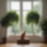 Elegant window cat tree with lush greenery outside