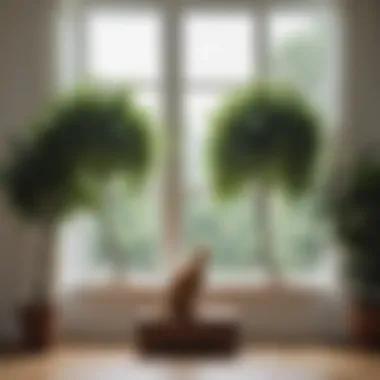 Elegant Window Cat Tree Design Elegant window cat tree with lush greenery outside