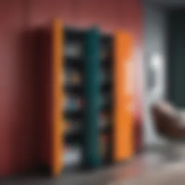 Modern Colorful Storage Solution Contemporary storage cupboard with vibrant colors