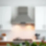 Modern Elegance: Wall-Mounted Range Hood Sleek wall-mounted range hood in modern kitchen setting