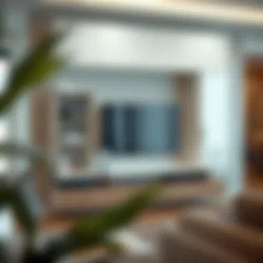 Stylish wall unit showcasing modern design