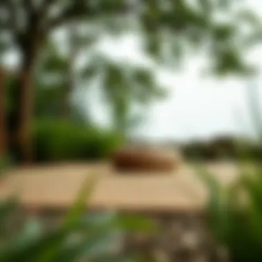 Eco-friendly outdoor mats in a natural setting